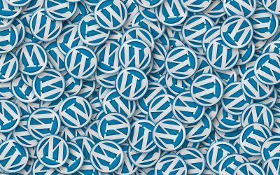 WordPress seguro, usuari@ contento